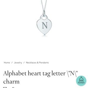 Alphabet charm “N” Tiffany necklace